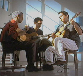 trio-madeira-brasil